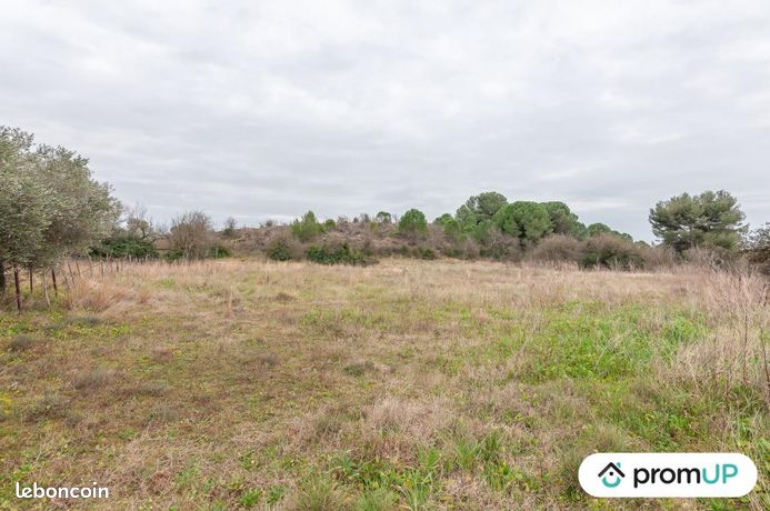 Terrain agricole 10 610 m² Lunel Viel