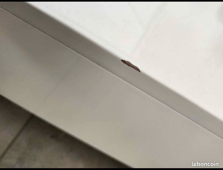 Table basse rectangulaire (image 5)
