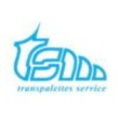 TRANSPALETTES SERVICE