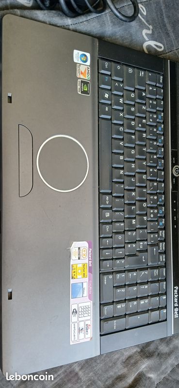 Écran LCD Avec Charnières Et Inverter Pour Packard Bell EasyNote MS2290 (Occasion)