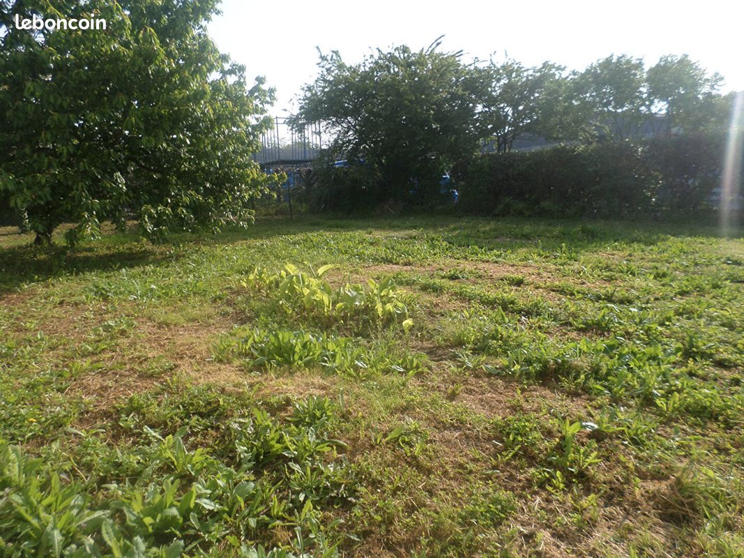 Maison 3 pièces 57 m² - Lussac-les-Châteaux 86320 (image principale 7)