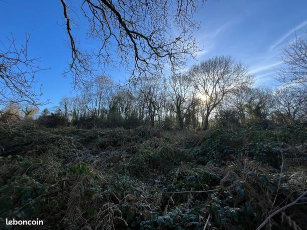 Terrain 1 397 m² Treffrin
