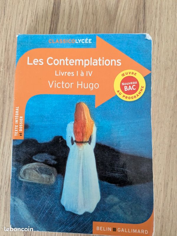 Livre pour bac français 1ere OU classe prépa (image 4)