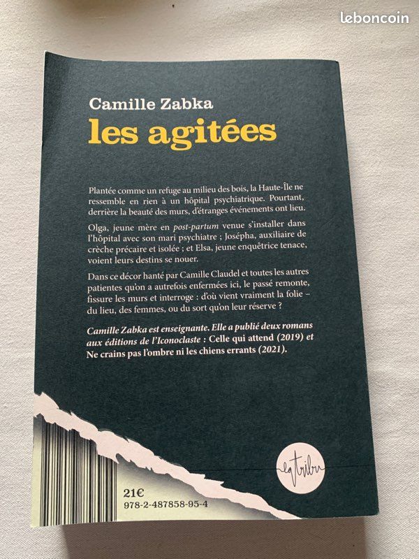 Les agitées roman (image 2)