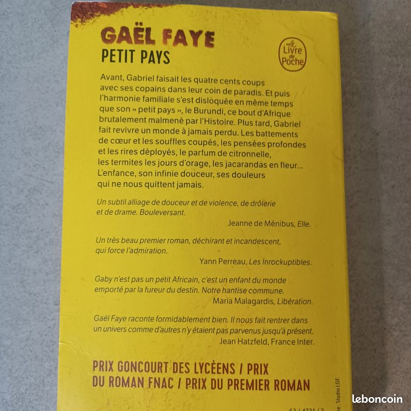 Petit pays de Gaël Faye (image 3)