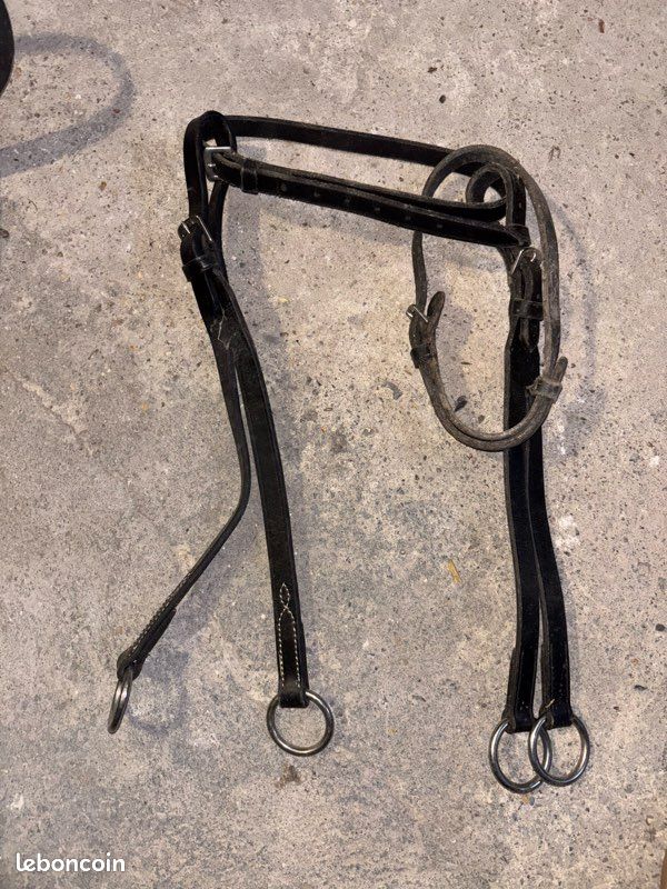 Lot De 5 Têtières (browbands) Pour Cheval, Tailles Assorties, Noir, Neuves