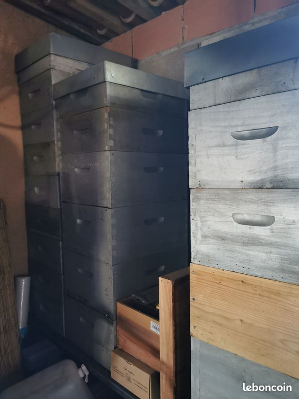 Ruches (image 2)