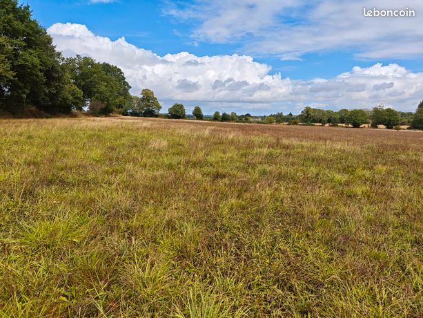 Terres agricoles