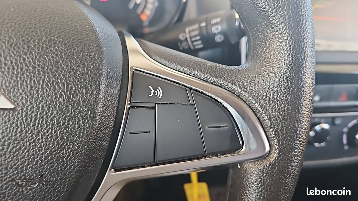 Dacia spring expression (image 26)