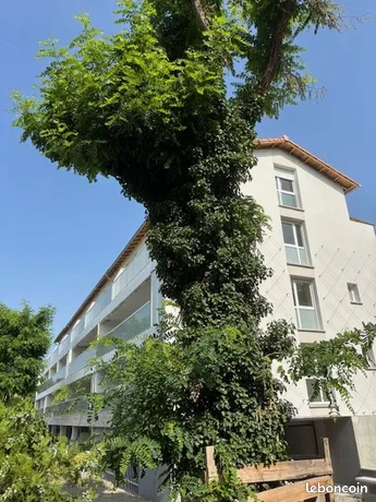 Annonce location Appartement toulouse