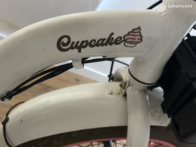 Vélo électrique Velektrix (image 6)