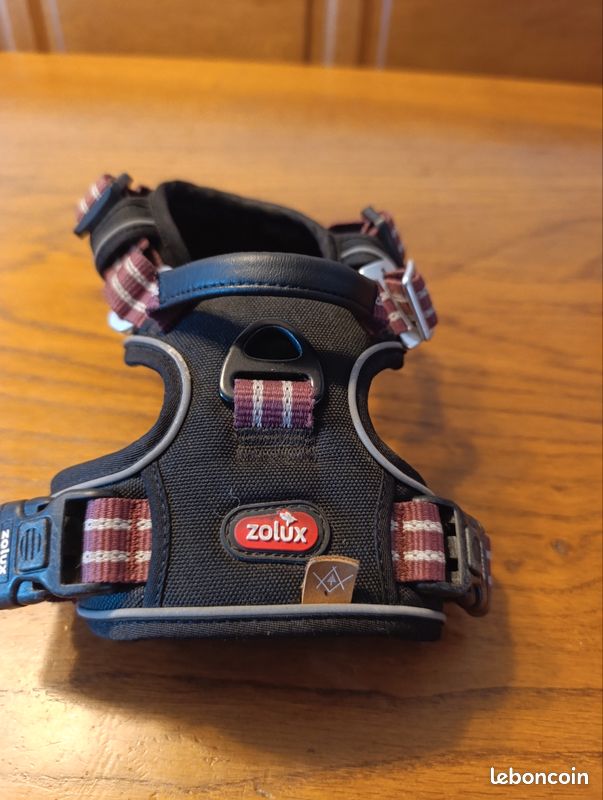 Accessoires chien collier (image 2)