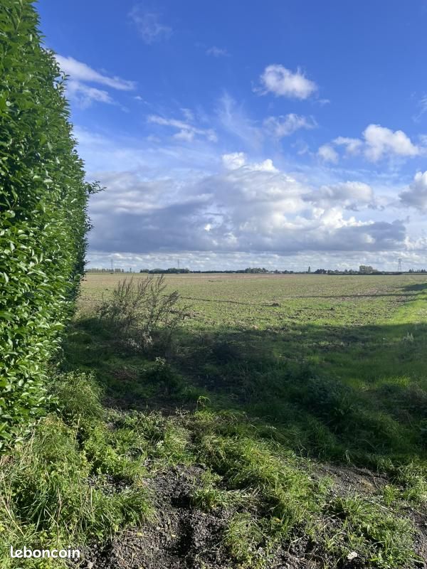 Terrain 519 m² Provin · 121 500 €