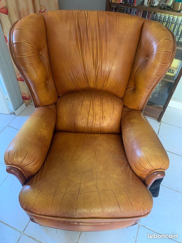 Canapé 2 place et 2 fauteuil une place (image 3)
