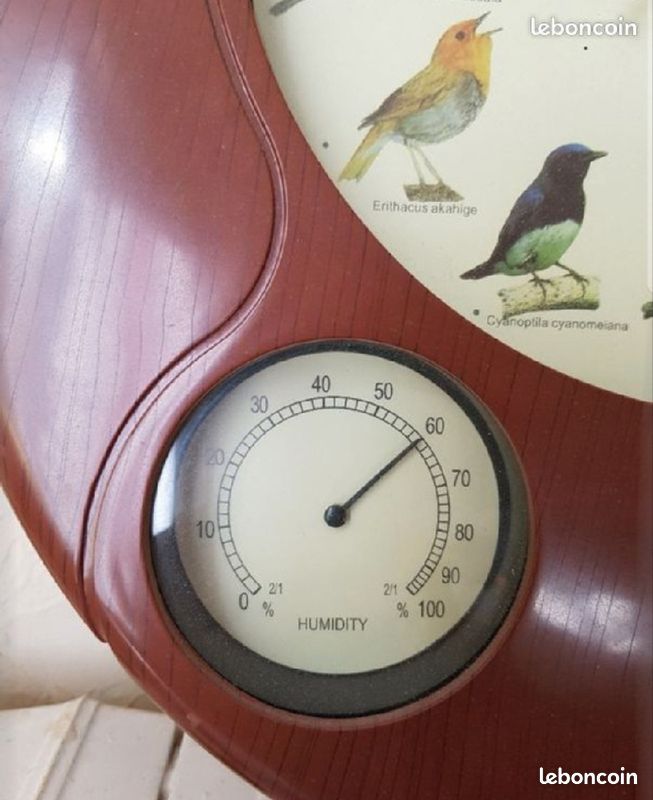 Pendule thème oiseaux (image 3)