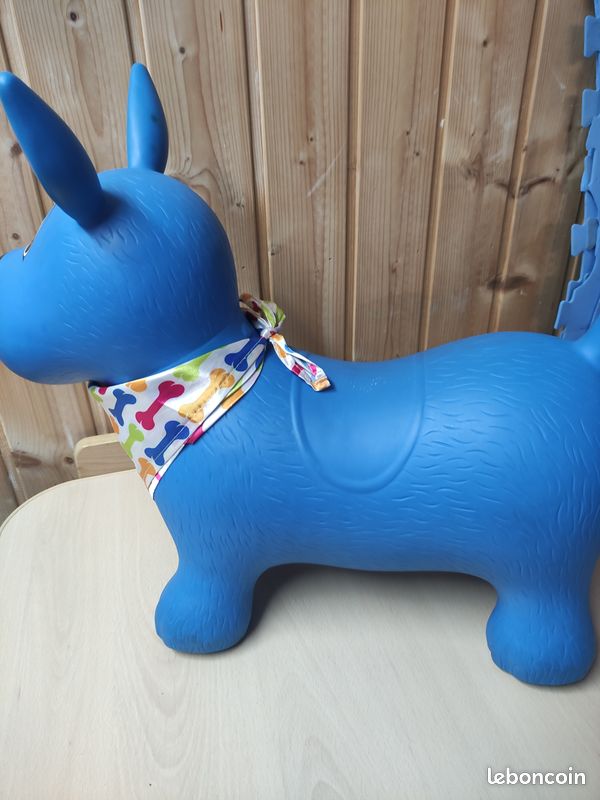 Chien sauteur Ludi (image 2)