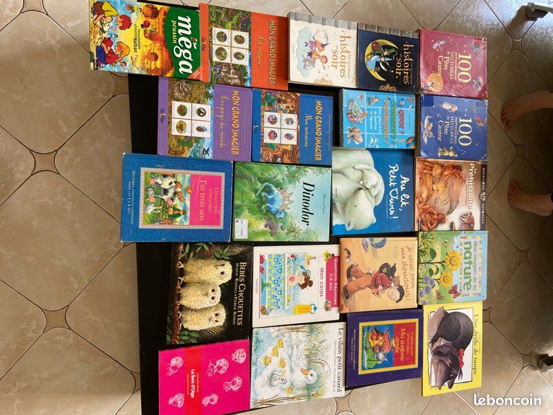 Livres enfant jeunesse (image 1)