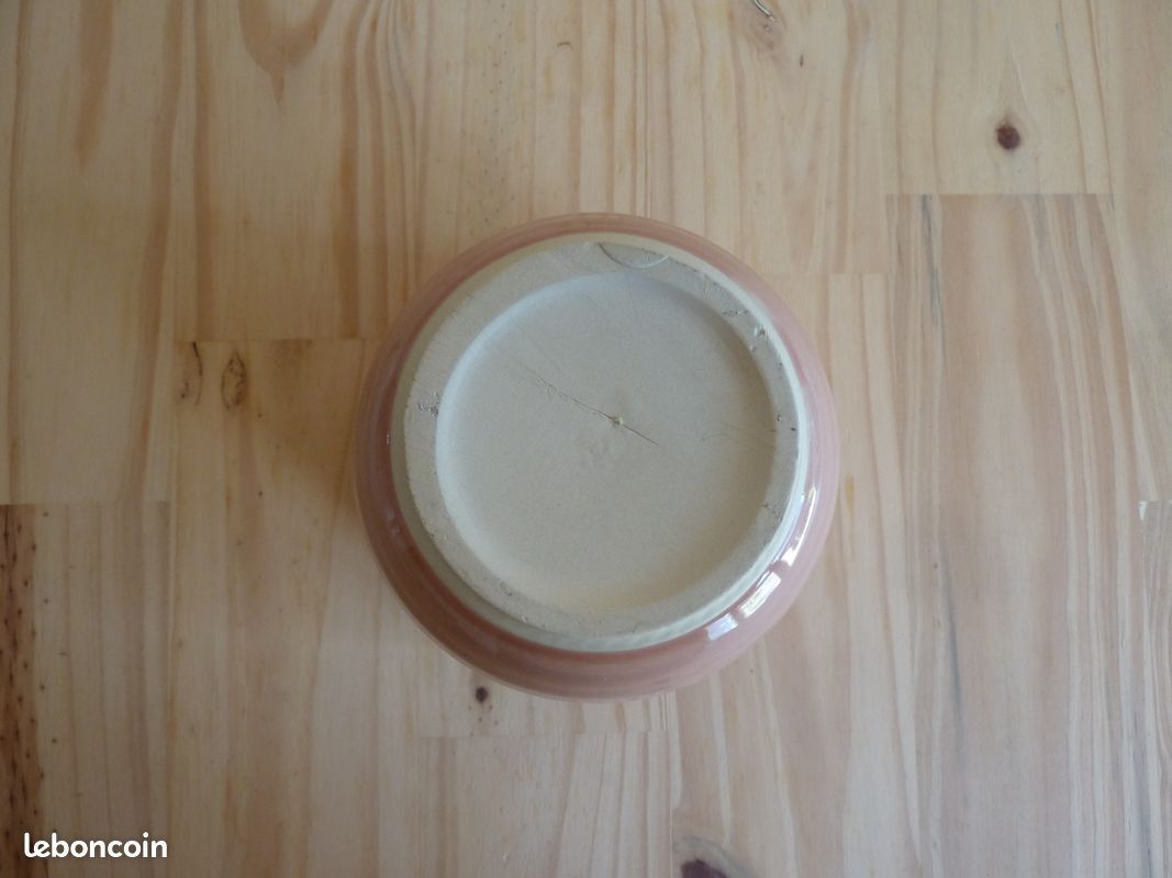 Cache pot rose (image 3)