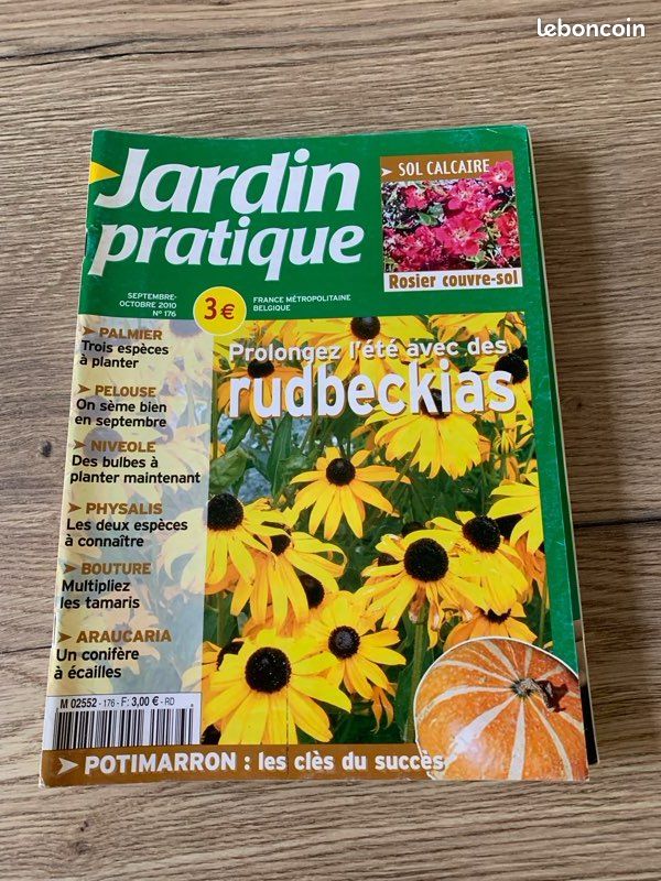 Magazines (image 7)