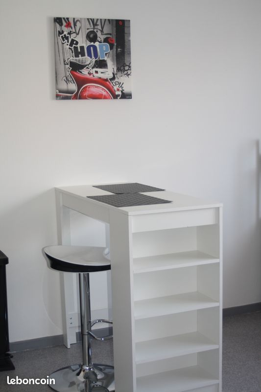 Appartement 1 pièce 24 m² · à Pau · 24 m² · 445 €