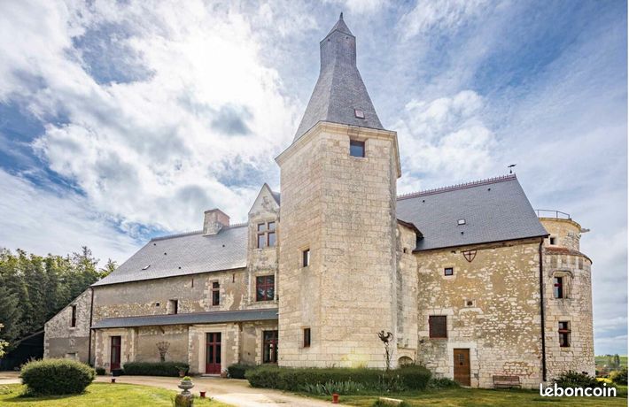 Chateau 10 pièces 667 m²