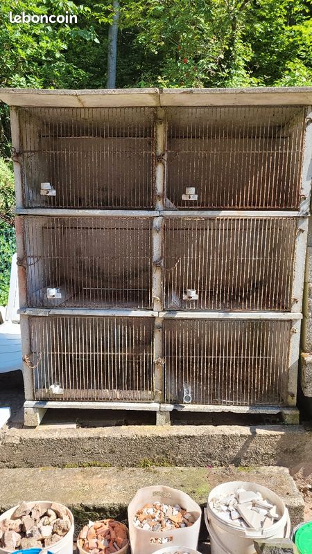 Vente cage de Lapin (image 1)