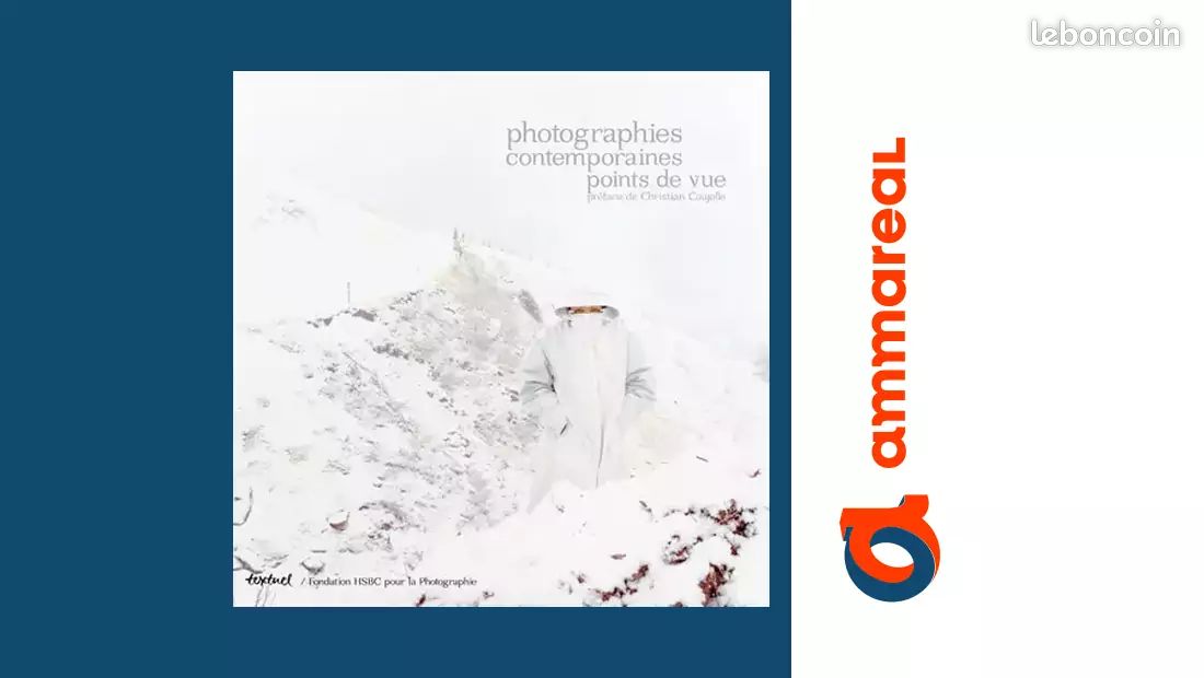 Photographie contemporaine points de vue = Contemporary photography point of view - Christian Ca... (image 1)