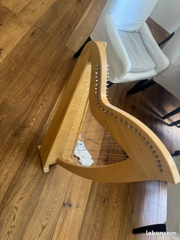 Harpe celtique 29 cordes avec housse très bon état (image 7)