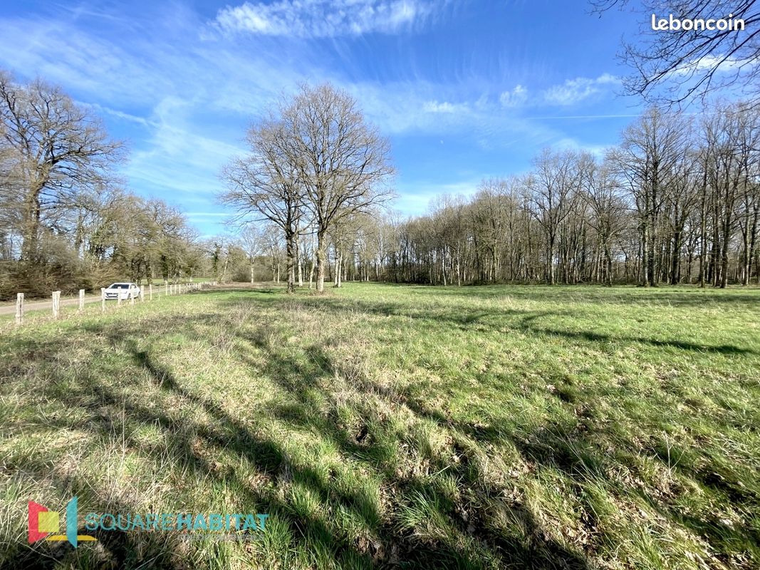 Terrain 33075 m² DOMATS (image 6)