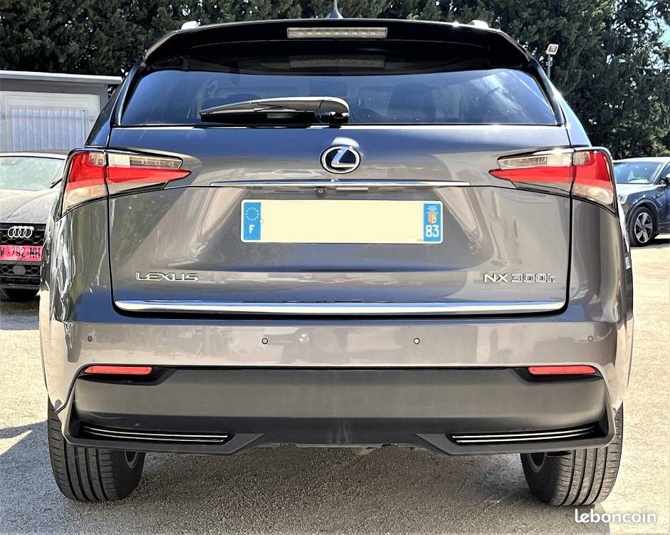 Lexus NX 300h 4WD Luxe (image 6)