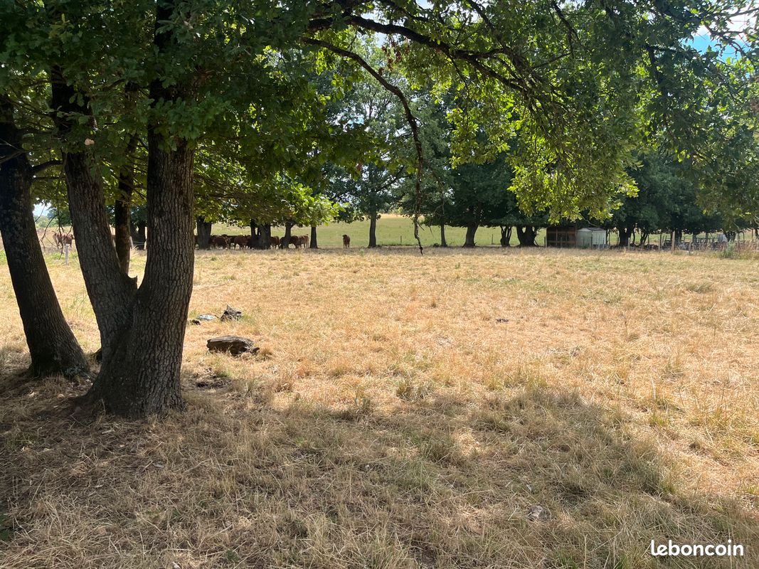 Terrain 2370 m2 à Meilhac · 22 000 €