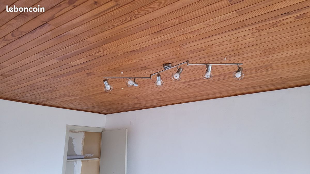 Lambris de plafond (image 4)