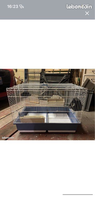 Cage oiseaux (image 3)
