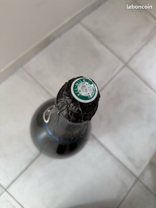 Salmanazar de Champagne CASTELNAU Réserve (image 3)