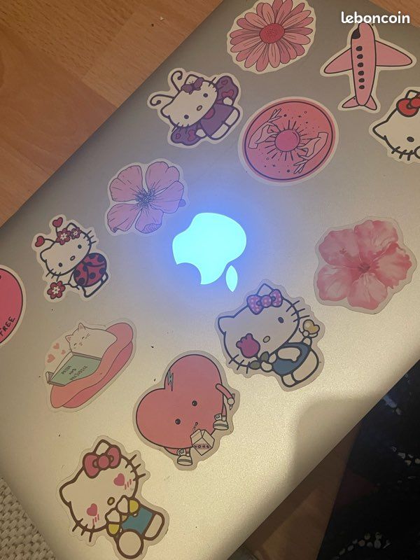 Macbook Air Bloqué Firmware (image 2)