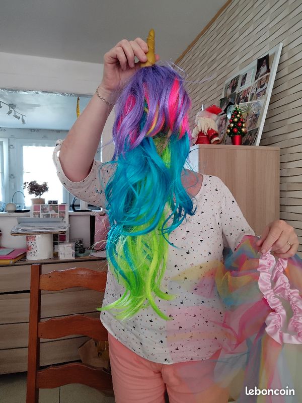 Déguisement licorne (image 2)