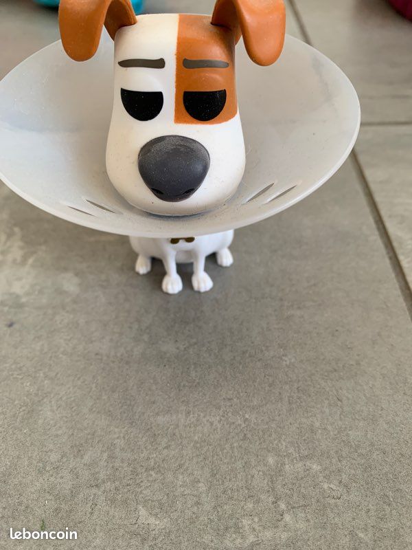 Pop Max dans Comme des bêtes (image 1)
