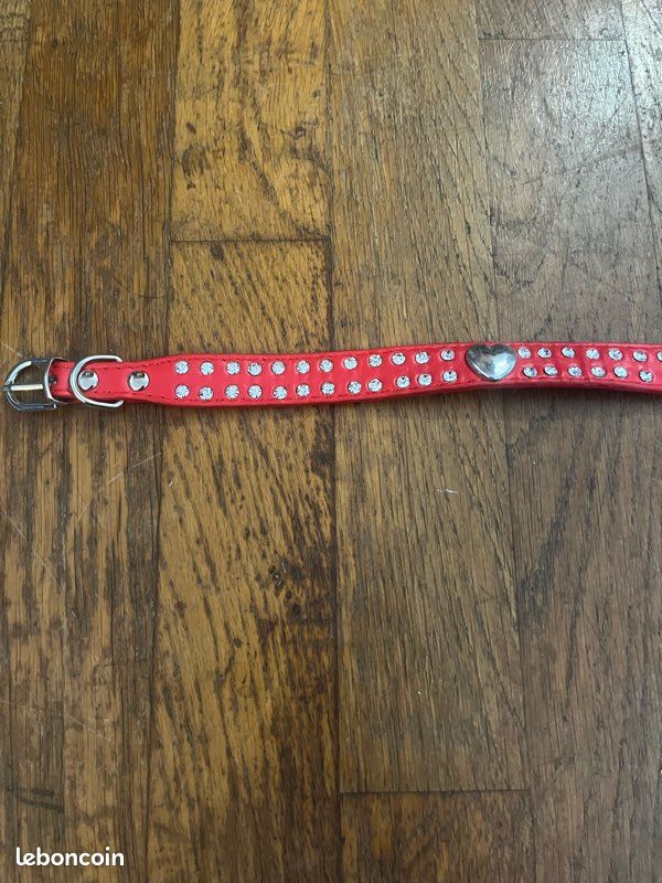 Collier chien (image 2)