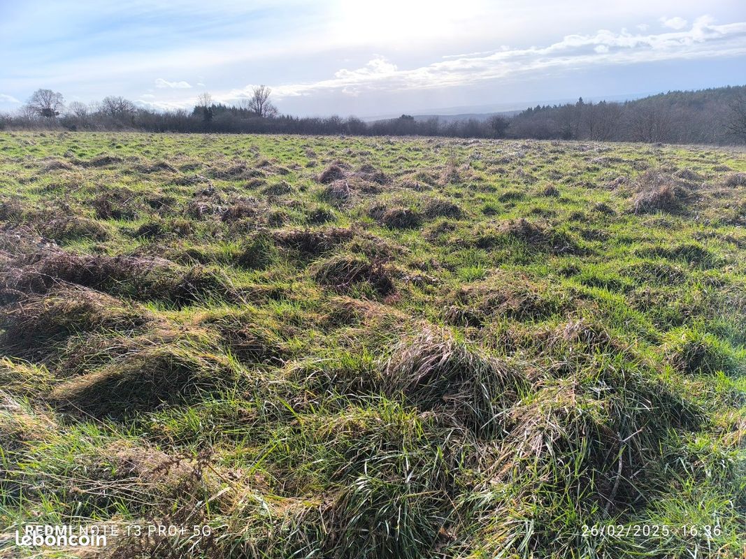Terrain à vendre · à Le Brethon · 13 000 €