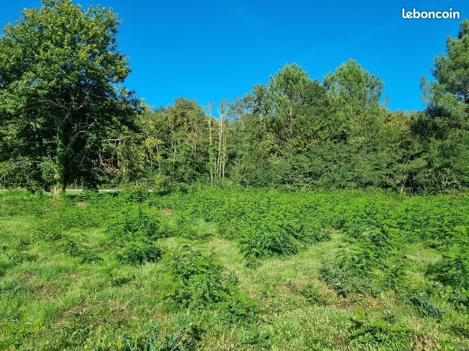 Terrain 1 010 m² Saint Medard En Jalles · à Saint-Médard-en-Jalles · 294 000 €