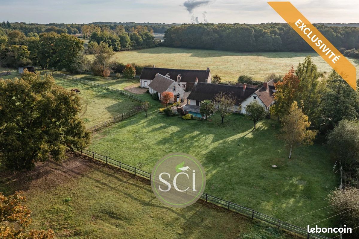 Maison 12 pièces 381 m² · à Sully-sur-Loire · 381 m² · 695 000 €