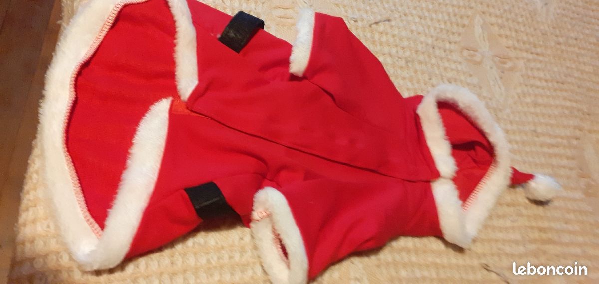 Vêtements Noël pour chien (image 1)