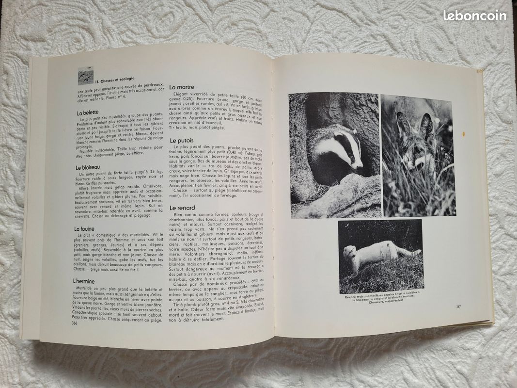 Livre vintage (image 17)