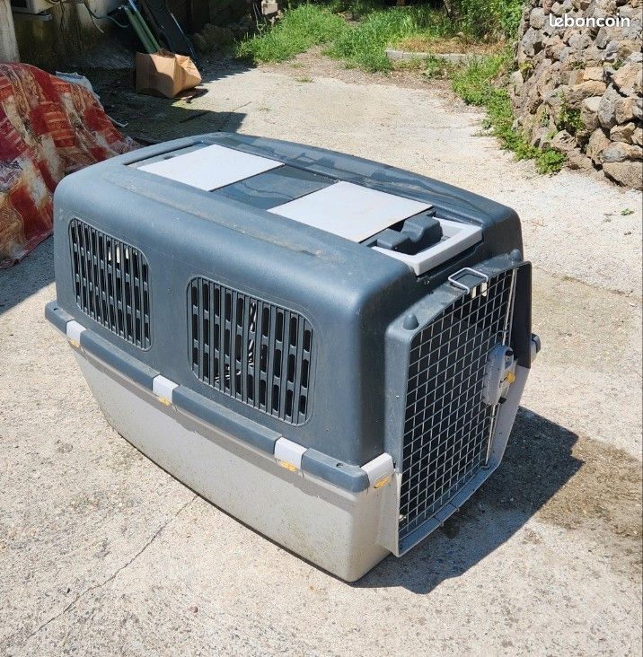 Cage IATA chien (image 1)
