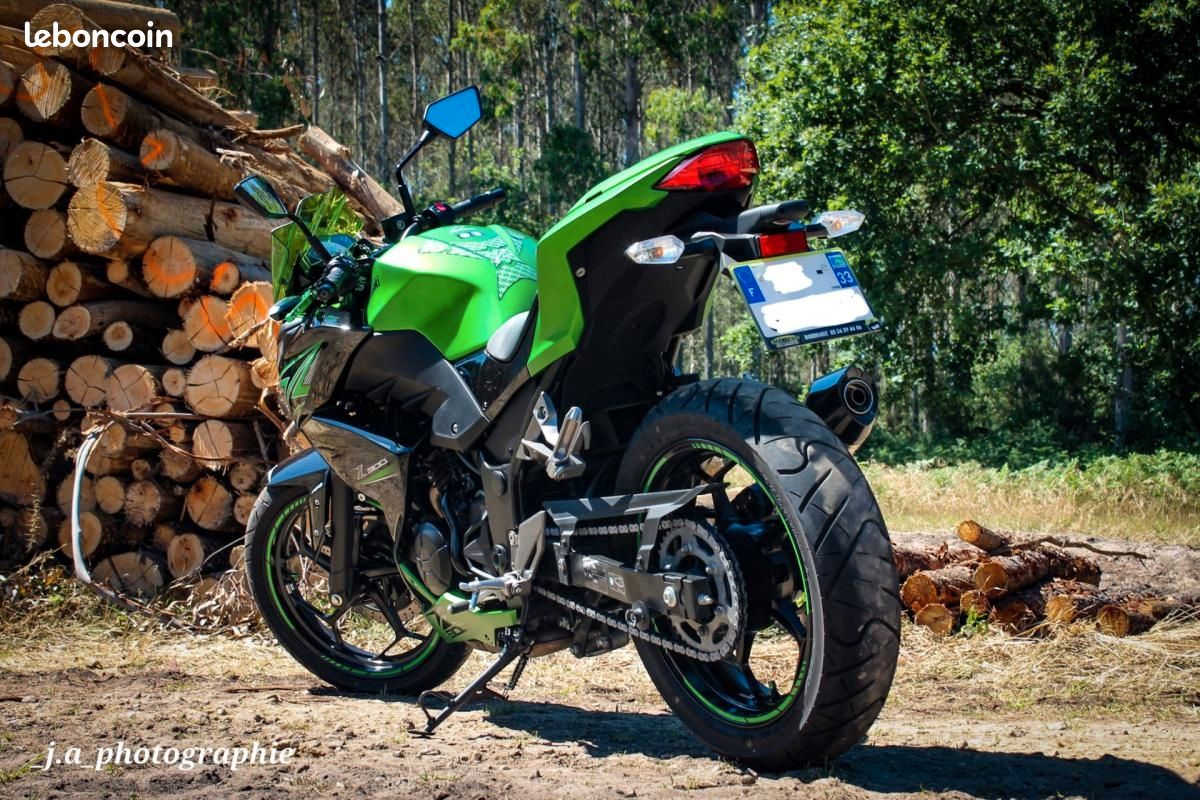 Kawasaki z300 ABS (image 2)