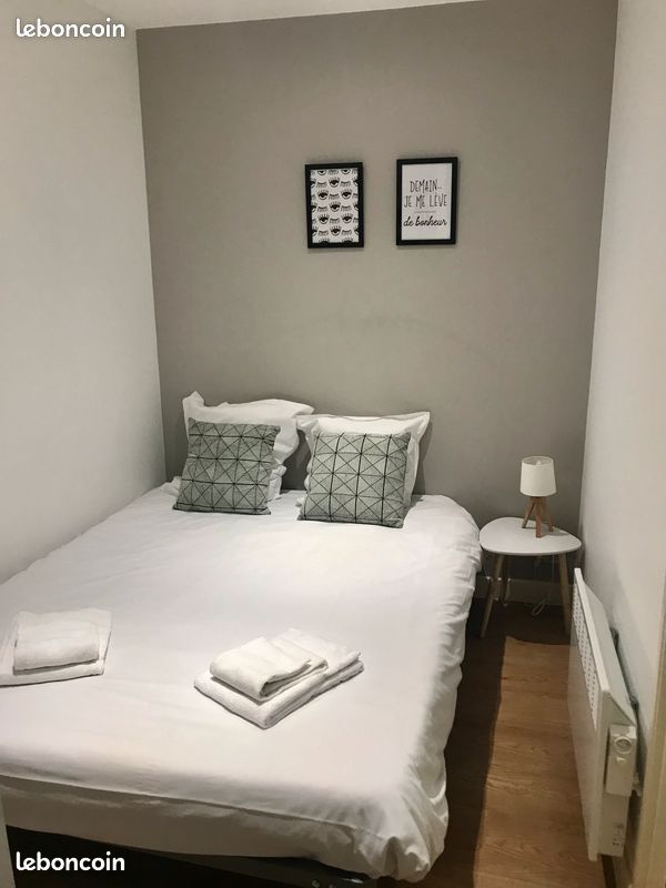 Appartement T2 meublé et calme - Agen 47000 (image 3)