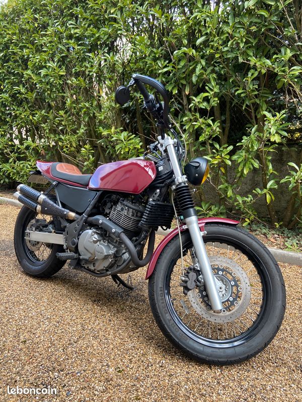 suzuki xf 650 freewind scrambler