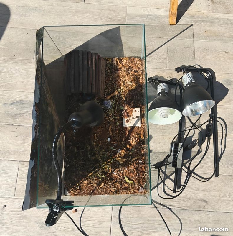 Terrarium+ 3 lampes (image 1)
