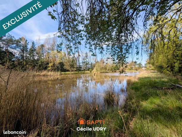 Terrain 11472 m² ATHEE-SUR-CHER
