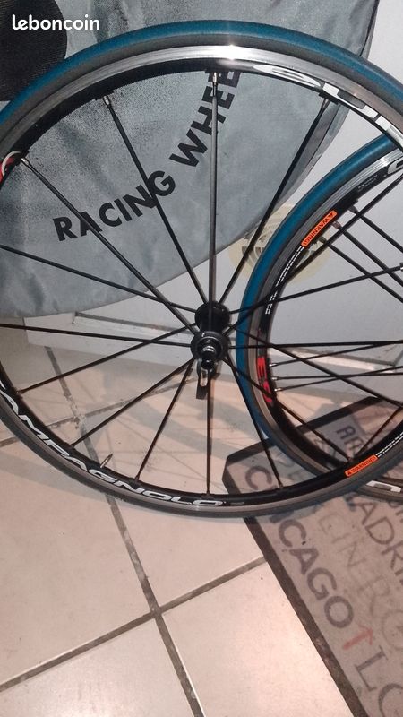 Rayon Campagnolo Eurus L 278.5 Mm Avec Mamelon - Neuf, Profil Aérodynamique